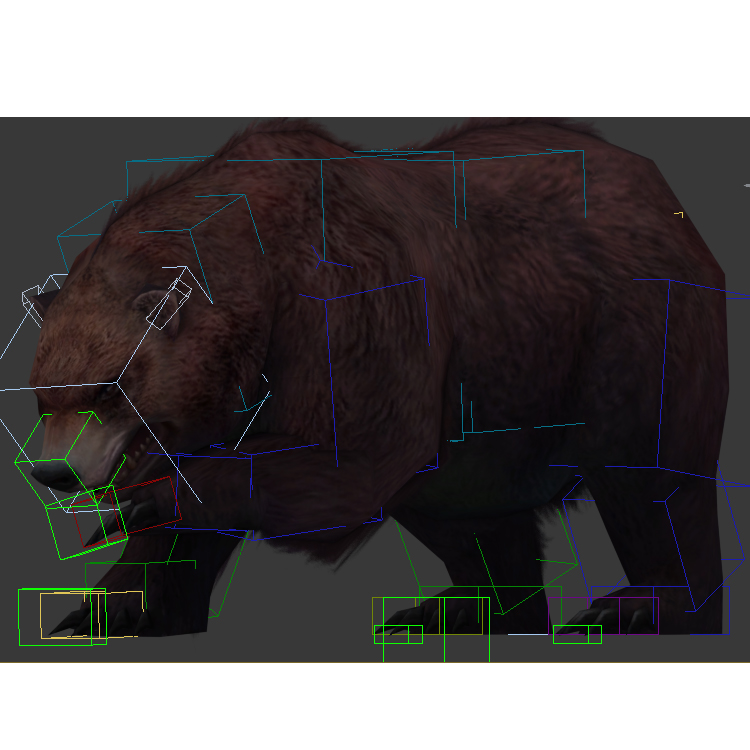 (Animal-0024) -3D-Canavar Ayı oyunu